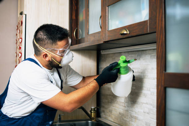 Best Emergency Pest Control  in Danville, CA
