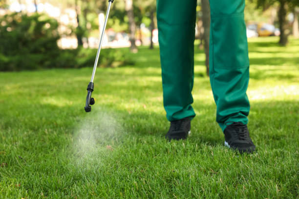 Best Pest Prevention Services  in Danville, CA