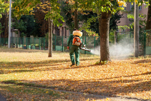 Best Insect Control  in Danville, CA